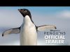 Penguins recenzie