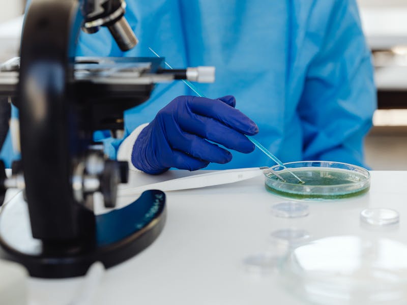Analize boli infectioase: investigatii necesare pentru diagnostic si preventie