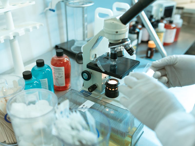 Examen coproparazitologic: investigatie simpla pentru depistarea parazitilor intestinali