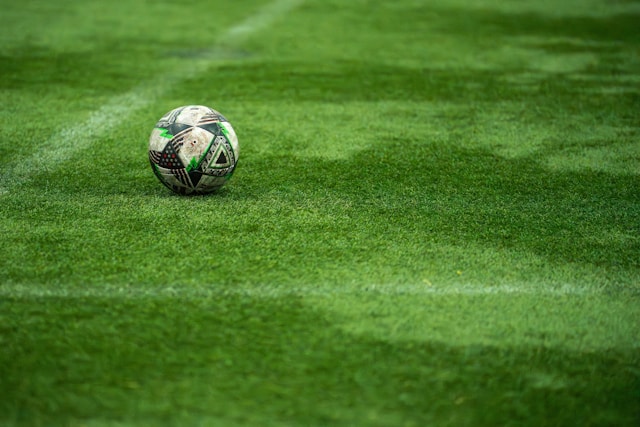 Sports Fields pentru construcție de gazon hibrid